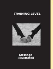 DI Training-Level-L_large